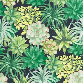 Botanica Echeveria 85917396
