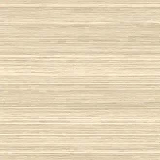 Le Sisal 26713