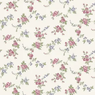 Abby Rose 4 AF37707