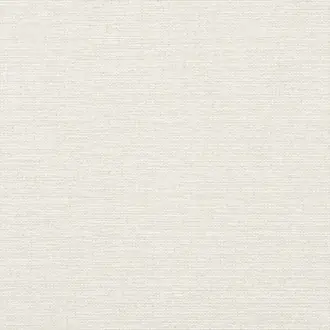 Edward's Paper T19695