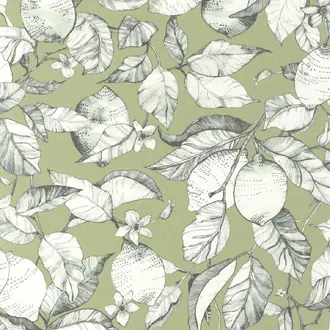 Lemon Tree 200277313