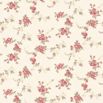 Abby Rose 4 AF37708