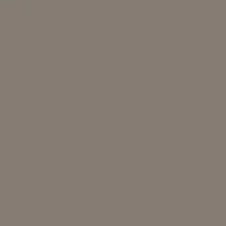 Raw Umber Paint