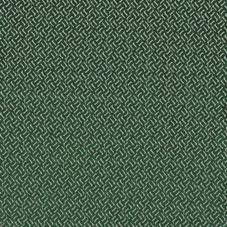 Apollo Evergreen