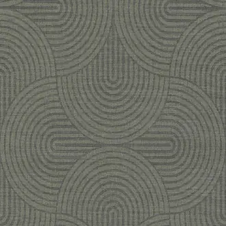 Earth EAR602