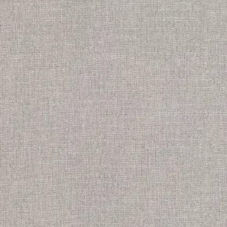 Pamir Silver Grey Z577-02