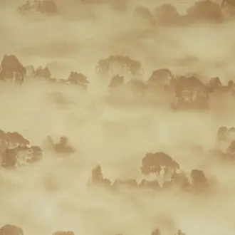 Misty Forest JT02 1048 002