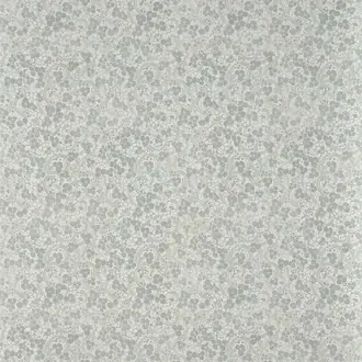 Les fleurs de cerisiers FP051002