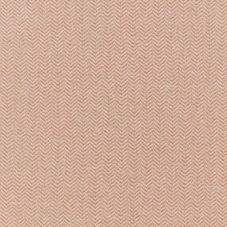 Conway Coral
