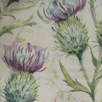 Thistle Glen Spring