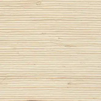 Textured Grasscloth Cotton