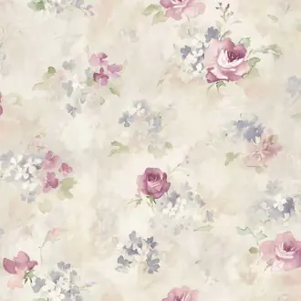 Abby Rose 4 AF37710
