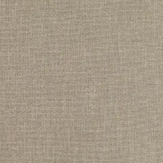 Pamir Driftwood Z577-03