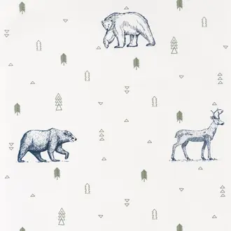 Grizzly Bears 101987403