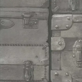 Luggage Gunmetal