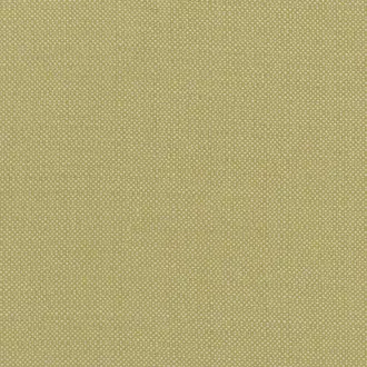 Kauai F1299-03