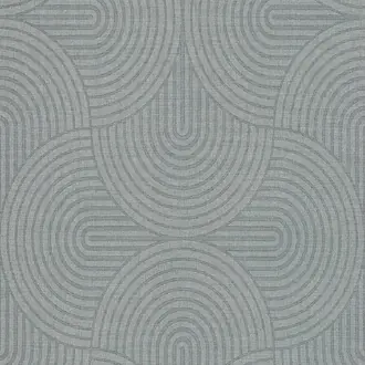 Earth EAR603