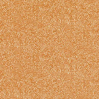 Kaiko Pumpkin 7789-06
