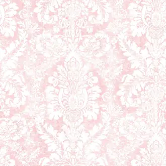 Abby Rose 4 AF37711