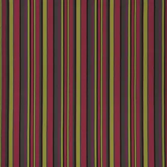 Warp Cloth FDG2310-01