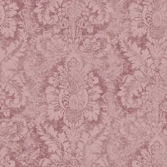 Abby Rose 4 AF37712