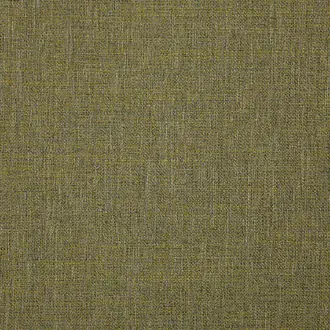 Abaca 03