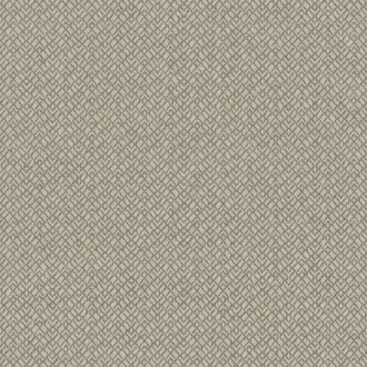 Calyso 1579-384