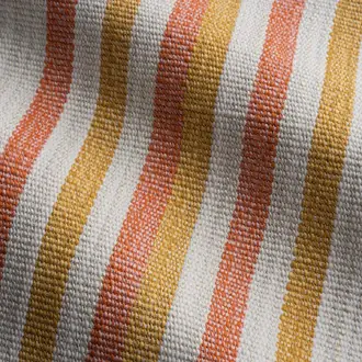 Roadrunner Stripe 470-231