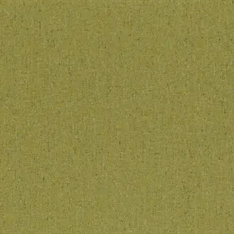 Bongo 3971 18 18