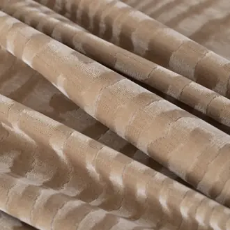 Wood TA001369
