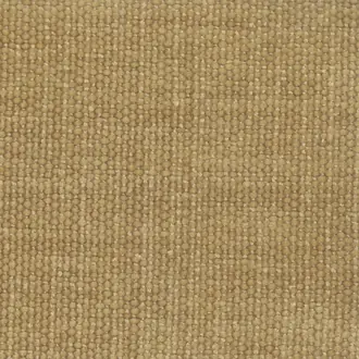 Primrose 19 Gold