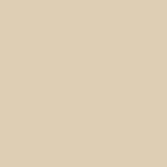 Sandstone Paint