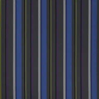 Webbing Stripe FDG2311-02