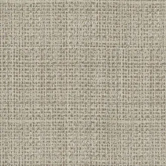 Vinyl Max's Metallic Raffia 9354