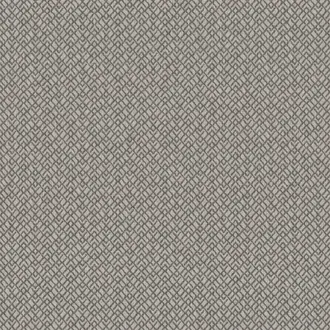 Calyso 1579-396
