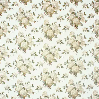 Hortensia Cotton 23