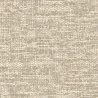 Tussah Silk 68013