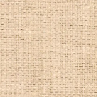 Driftwood Cream 6201