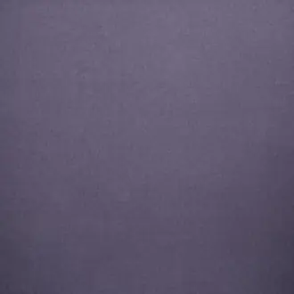 Canvas Violet