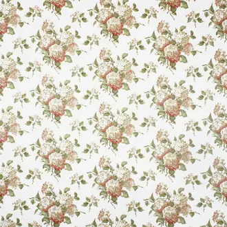 Hortensia Cotton 53