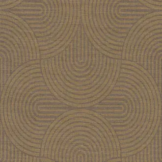 Earth EAR605