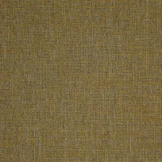Abaca 05