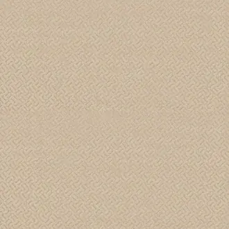 Apollo Putty