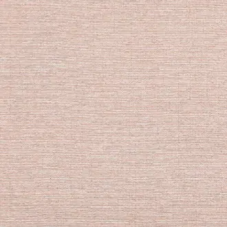 Edward's Paper T19702