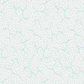 Maldives T42058
