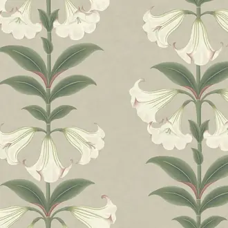 Angels Trumpet 117-3007