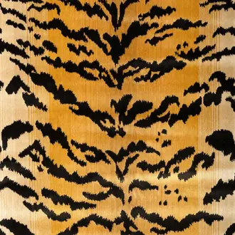New Tiger Velvet 8025137-648