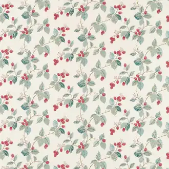 Rubus DARF227065