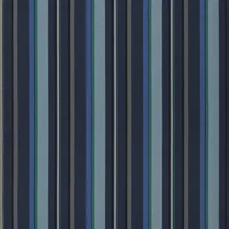Webbing Stripe FDG2311-01