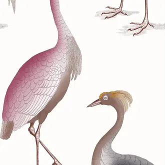 Garzas GDW-5773-007
